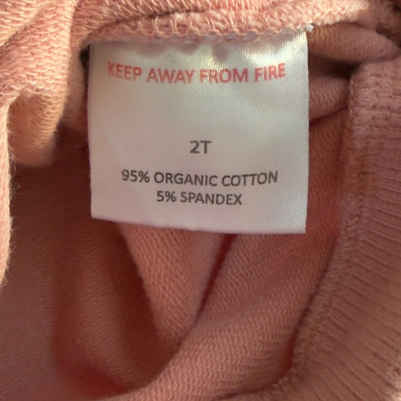 Sage + Ivory Baby Sweatshirt & Sweatpants Set 2T Light Pink Outfit - Picture 11 of 13